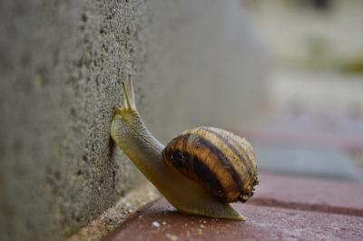 Прикрепленное изображение: _DSC6369.JPG